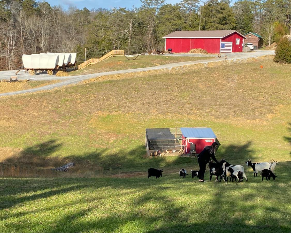 Smoky Hollow Outdoor Resort Covered Wagon Sevierville Exterior photo